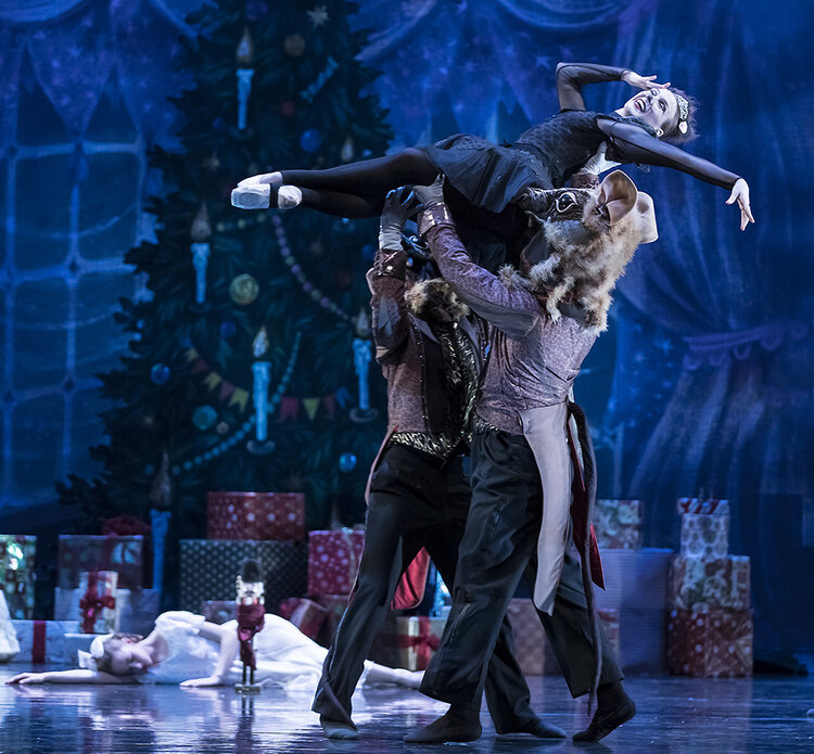 Magic, Intrigue, Adventure, Princes and Princesses, Dancing Snowflakes ...