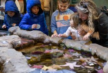 Underwater Parks Day at the Sea Center