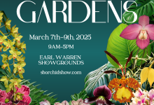 The 77th Santa Barbara International Orchid Show