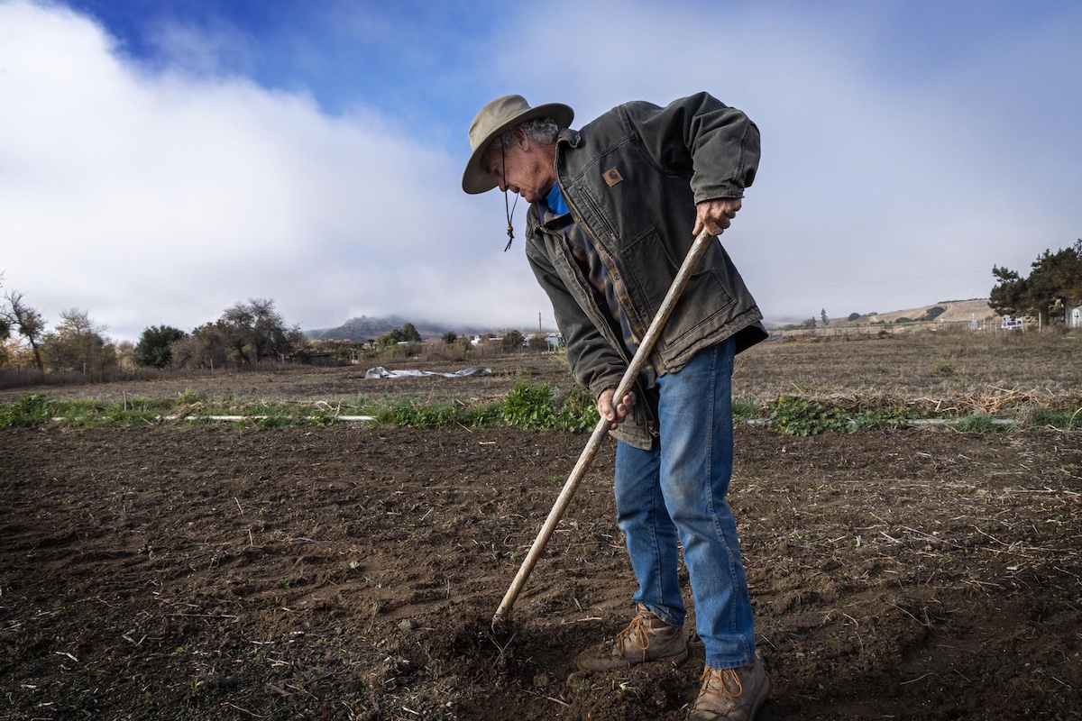 Bruce Steele working in vegetable garden at Winfield Farm, Buellton