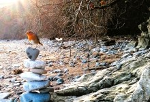 Sunday Morning Meditation Class