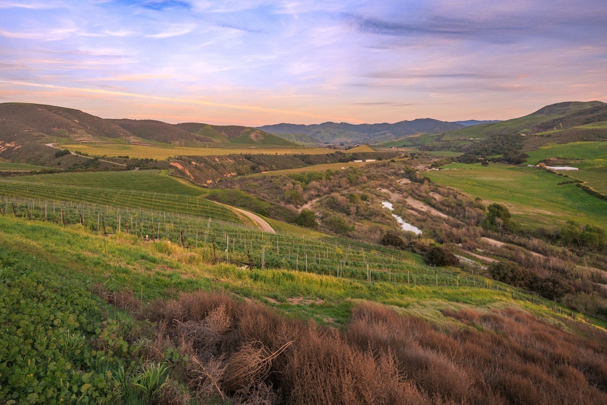 Lompoc Opts Out of Wine Country [Corrected] The Santa Barbara Independent
