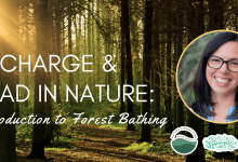 Recharge & Read in Nature: Introduction to Forest Bathing