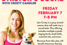 LA Fundraiser Series: Stretch & Sound