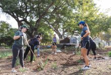 Volunteer Gardening | Alice Keck Park Memorial Garden