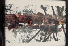 Sherman Charles Drake Jr