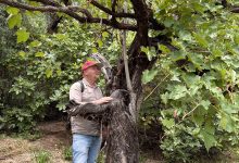 Matt’s Bolivian Wine-Lover Win