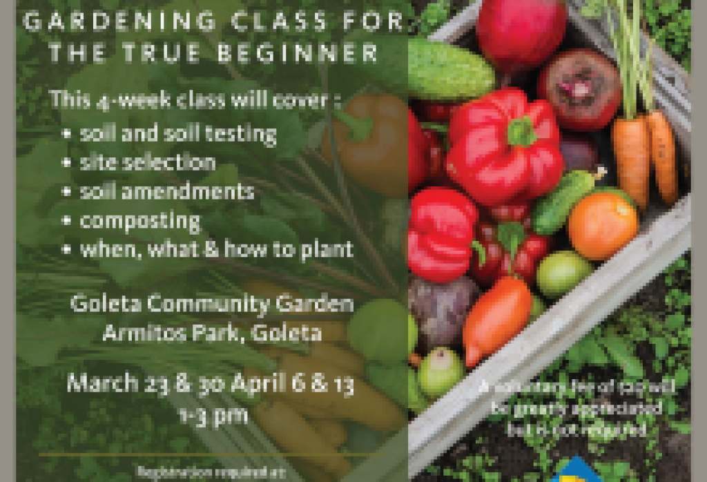 Find Your Green Thumb with a Free Four-Part Gardening Class