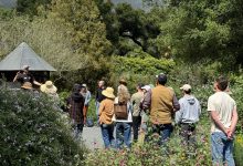 Lotusland Compost Tea Party