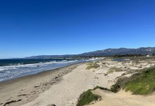 Guided Tour of Coal Oil Point Reserve