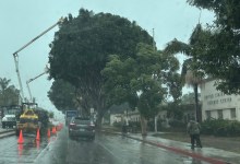 Tree Trimming on Upper State Brings Traffic to a Halt