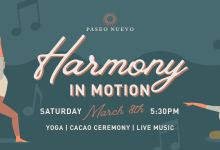 Harmony in Motion