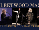 Tribute Band: Fleetwood Mask