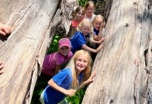 Annual Summer Camp Guide 2025