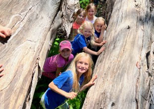 Annual Summer Camp Guide 2025