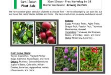 Mesa Harmony Garden Spring Plant Sale