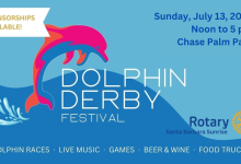 Dolphin Derby Festival 2025