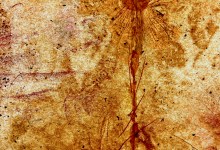 “The Tea Papers” at Art&Soul on State Street