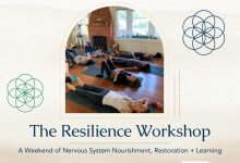 Nourishing Steadiness – Nervous System Class
