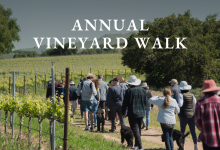 Annual Vineyard Walk