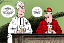 How Gutting CDC May Impact Your Health