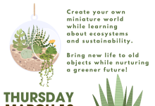 Terrarium Workshop