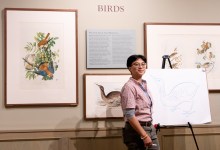 The Art of Science: Drawing Natural History