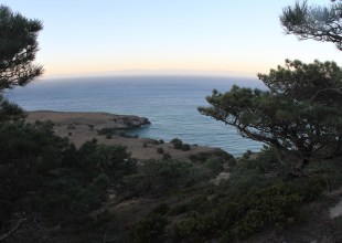 Strolling Among the Rarest