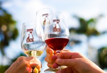 Roar and Pour at the Santa Barbara Zoo