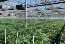 A Tour of Autumn Brands Farm