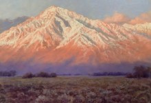 OUT and ABOUT at Gallery Los Olivos