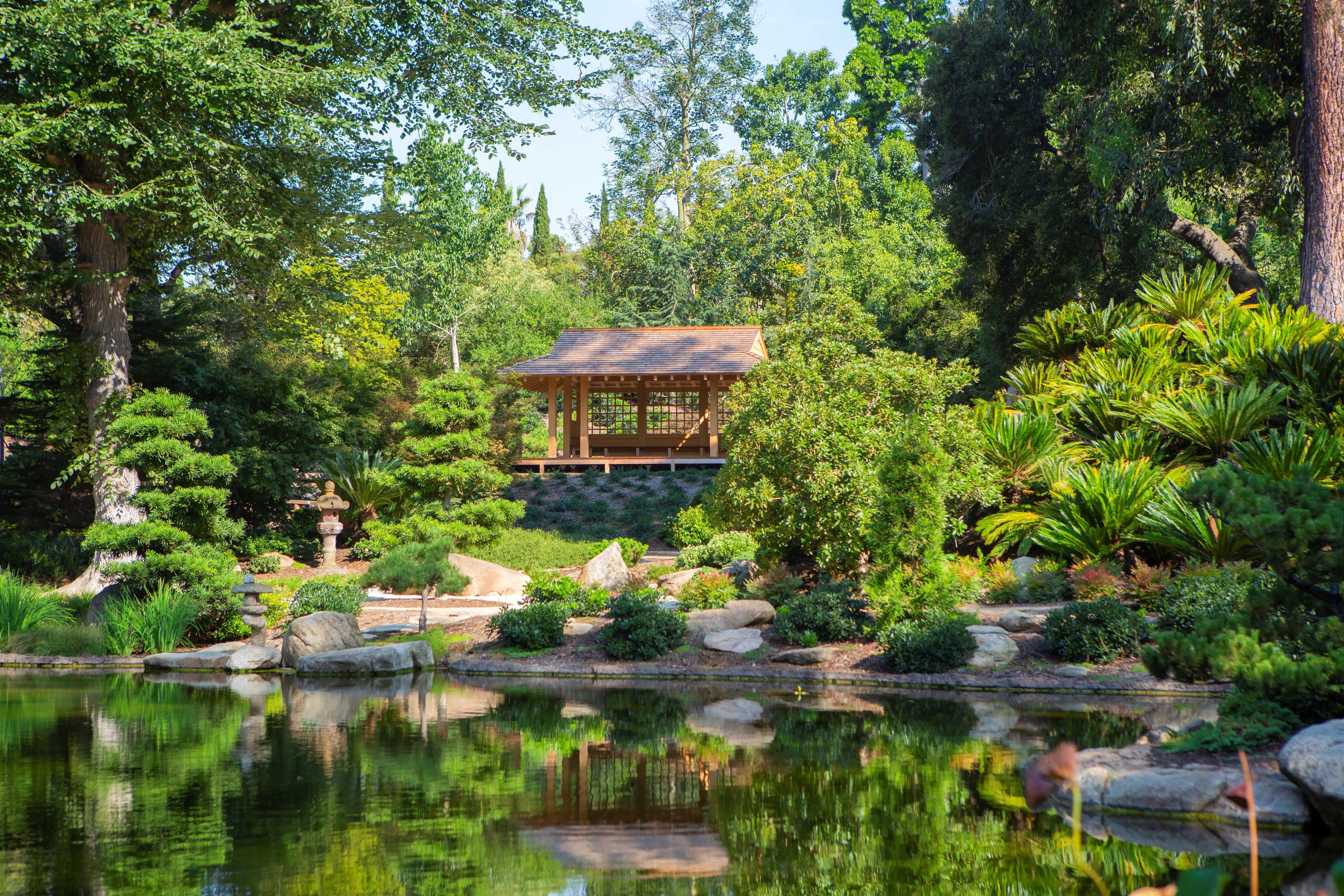 PAvilion8438.jpeg?fit=5472,3648 PAvilion8438.jpeg?fit=5472,3648