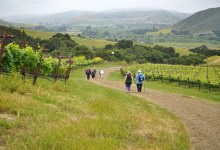 ‘10,000 Steps in the Right Direction’ at the Alma Rosa Winery