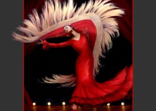 La Primavera Fundraising Event Unveils Fiesta Poster and Honors Santa Barbara Leaders