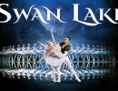 Classical Arts Entertainment Presents “Swan Lake”