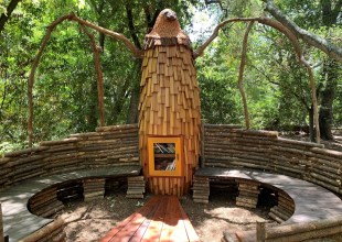 The Santa Barbara Botanic Garden Calls for Artists for Their Backcountry Casitas Program