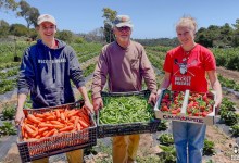On the Mesa, One Acre Feeds Many