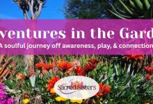 Adventures in the Garden