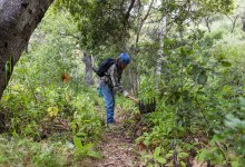 Trail Volunteer Day | Hot Springs Trail