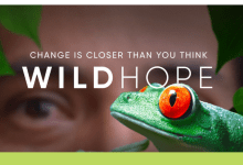 Screening: An Evening of Wild Hope