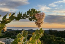 Nature Journaling at the Garden with John Iwerks