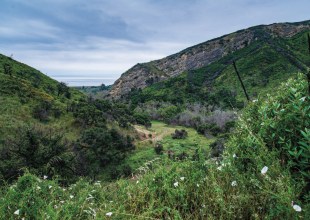 Growing Up (Trapped) in Nature