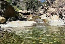 Arroyo Hondo Creek Now Fully Protected Thanks to ‘Steelhead Lookout’ Acquisition