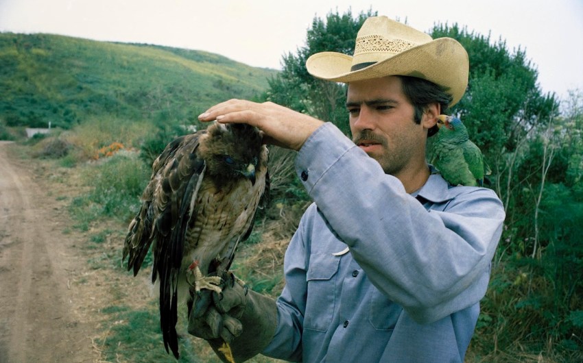 Me, My Mayan Parrot, and a Red-Tailed Hawk