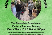 The Chocolate Experience: Factory Tour and Tasting