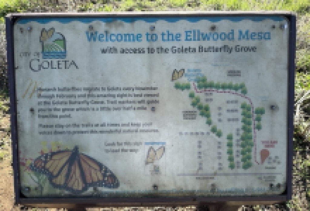 Goleta to Share New Signage Plan for Ellwood Mesa at July 1 Meeting