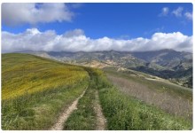 Make the Bill Wallace Trail a Priority