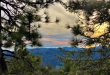 Summer Solstice Nature Hike on Pine Mountain