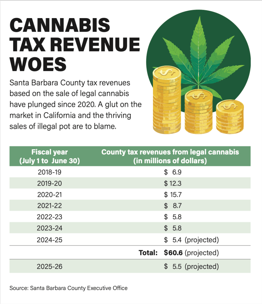 Reality Check: Santa Barbara County Supes Cut $1.4 Million in Cannabis ...
