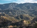 Feds Moving at Full Throttle to Reverse Roadless Rule Protecting National Forests